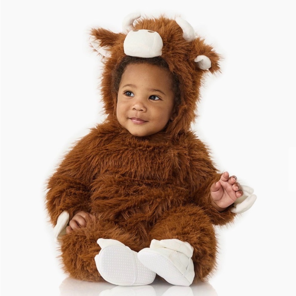 Pottery Barn Kids Highland Cow Baby costume
